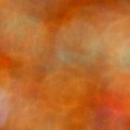 Bokeh-479